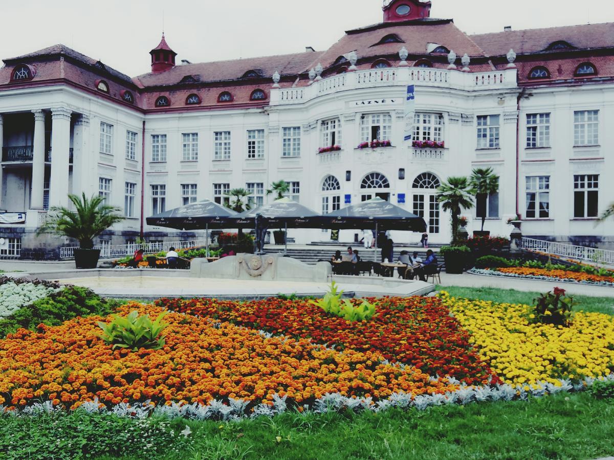 Apartment Alice Center Karlovy Vary Dış mekan fotoğraf