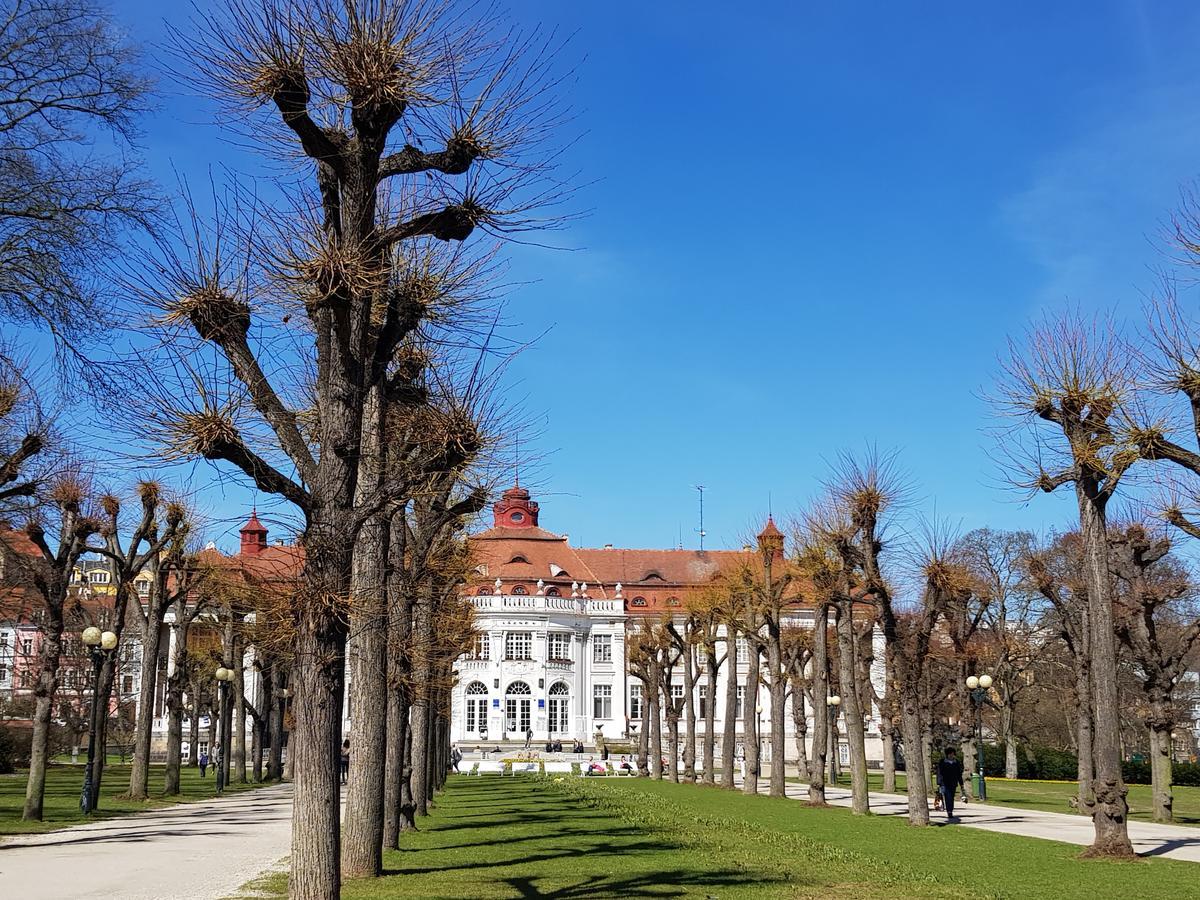 Apartment Alice Center Karlovy Vary Dış mekan fotoğraf