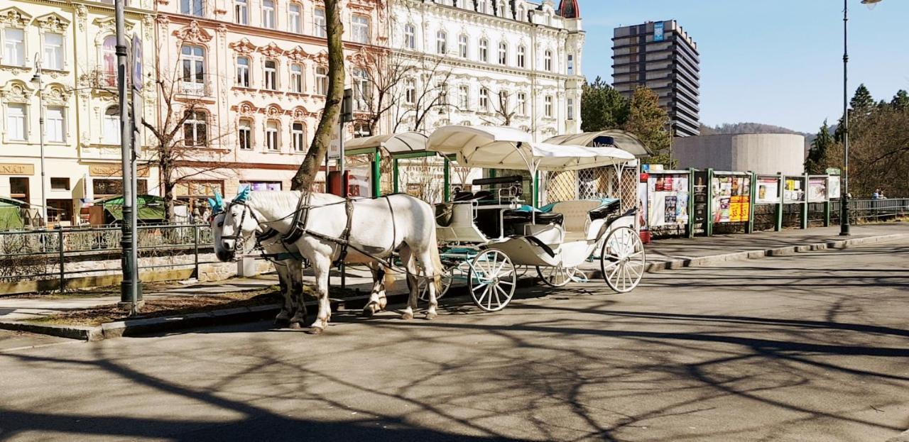 Apartment Alice Center Karlovy Vary Dış mekan fotoğraf
